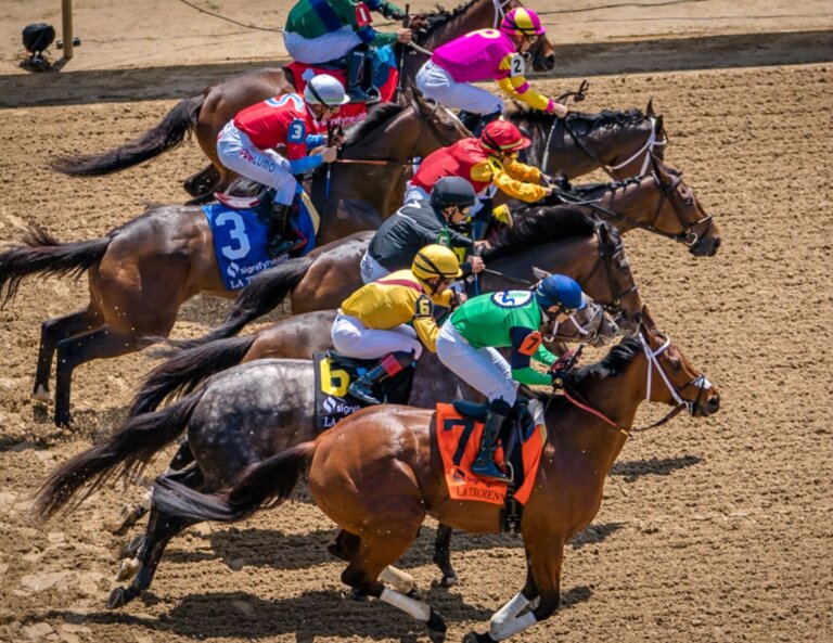 Kentucky Derby Horses | Kentucky Derby