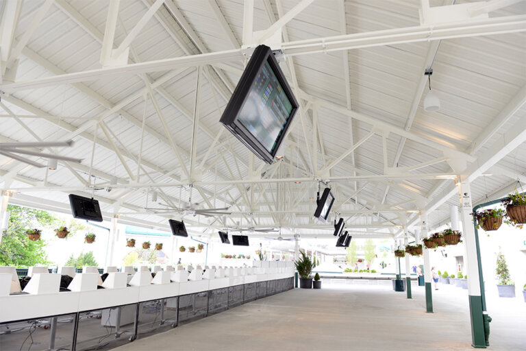 Wicker Garden Premium Dining Seats Kentucky Derby