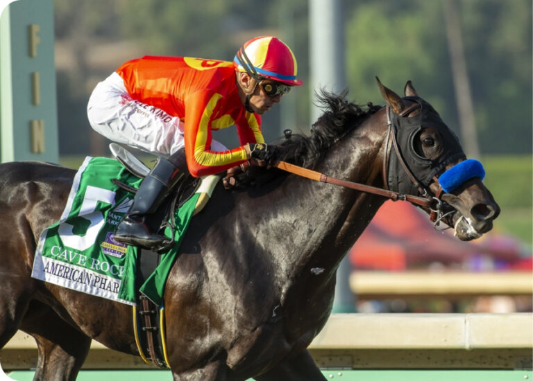 2025 Kentucky Derby Prep Races Kentucky Derby Prep Races 2025 Results