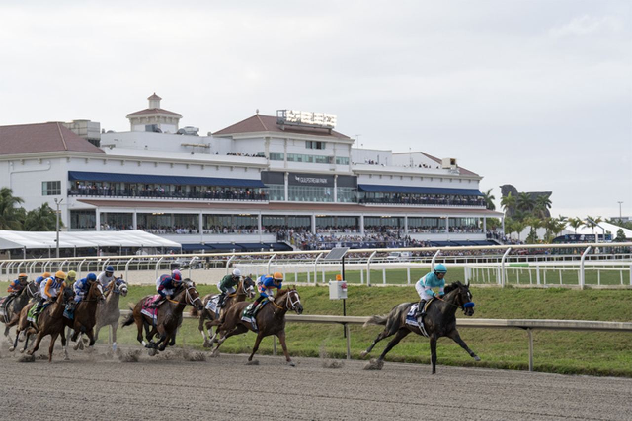 Florida Derby (GI) Races Kentucky Derby