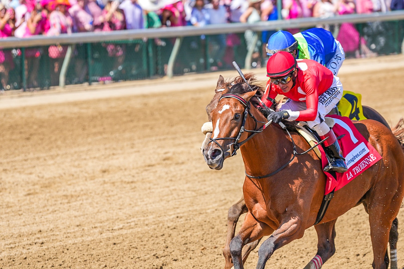 Learn more on what bets you can make on the Kentucky Derby News