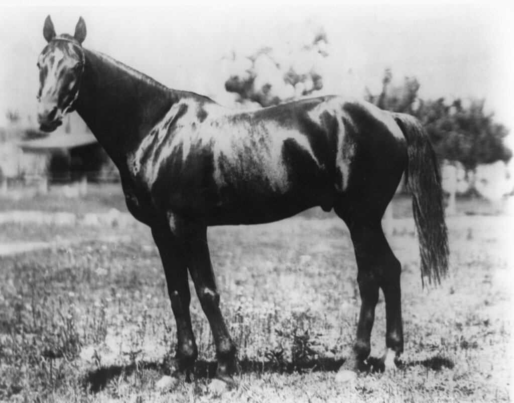 About Kentucky Derby