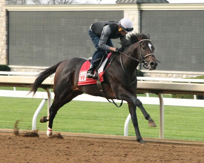 Close Finish Between Favored McCraken, Always Dreaming in Kentucky
