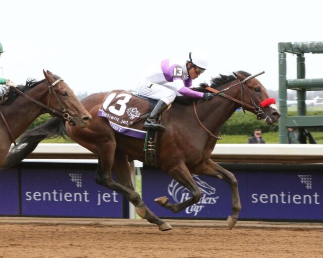 Florida Derby 2025 Contenders Naomi Virgina