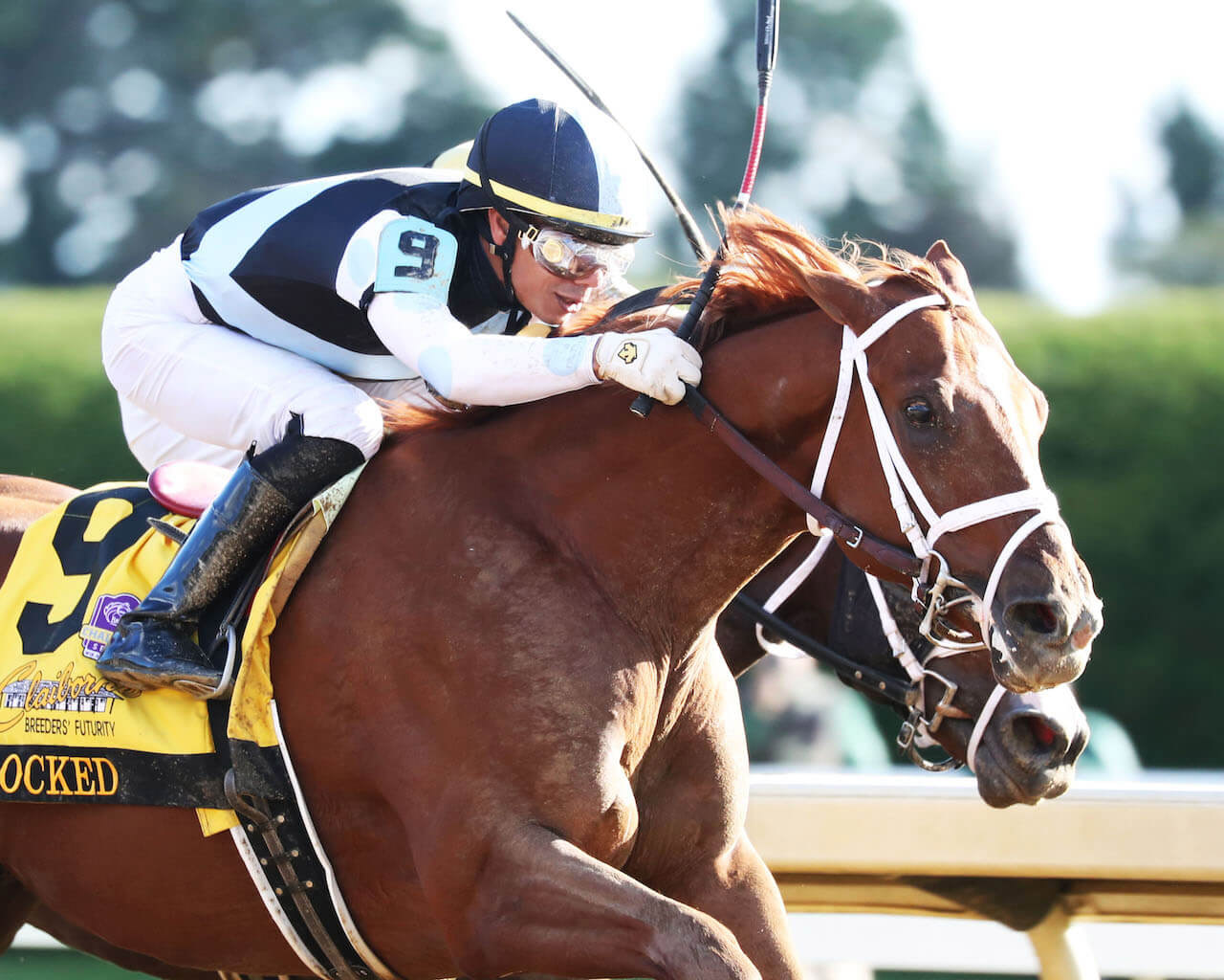 Locked winning the Breeders' Futurity (G1) at Keeneland (Photo by Coady Photography)