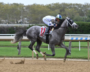 Moonlight running at Belmont At The Big A