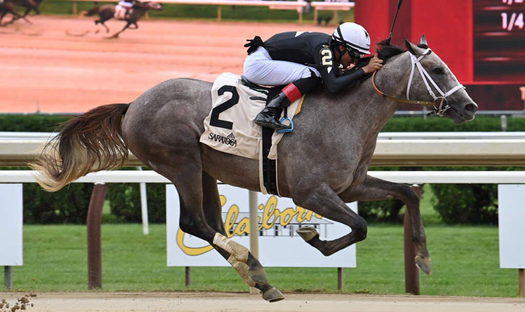 Seize the Grey wins at Saratoga 2023