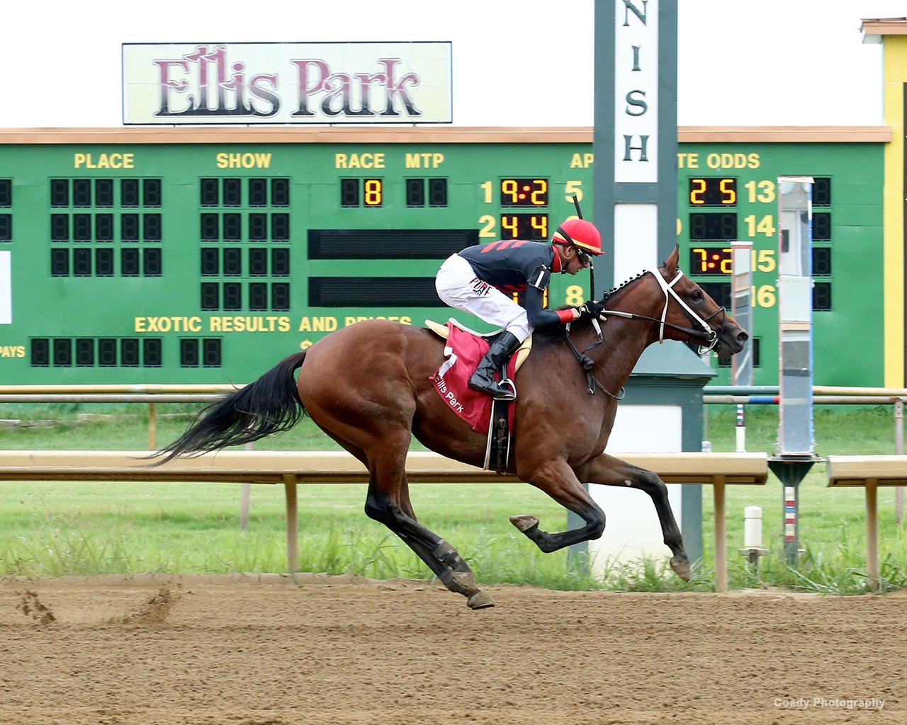 Commonwealth Turf Cup Study Guide News Kentucky Derby
