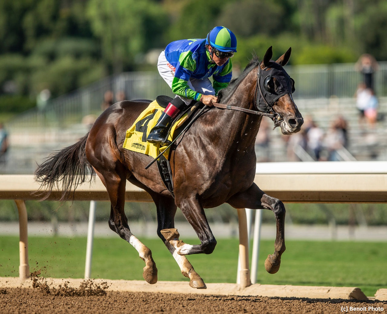 Los Alamitos Futurity Study Guide News Kentucky Derby