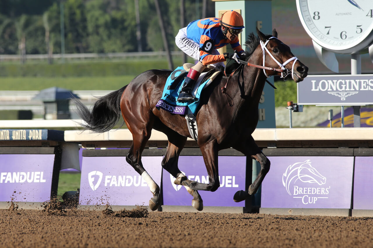 Fierceness | Horses | Kentucky Derby