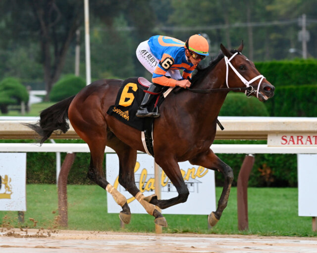 Champion Fierceness returns in Holy Bull News Kentucky Derby