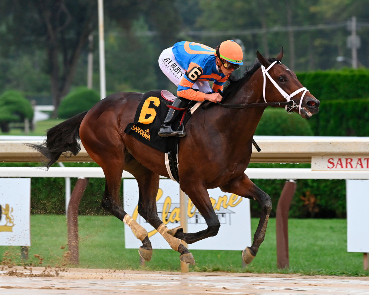 Fierceness winning his debut at Saratoga (Photo by Coglianese Photos/Susie Raisher)