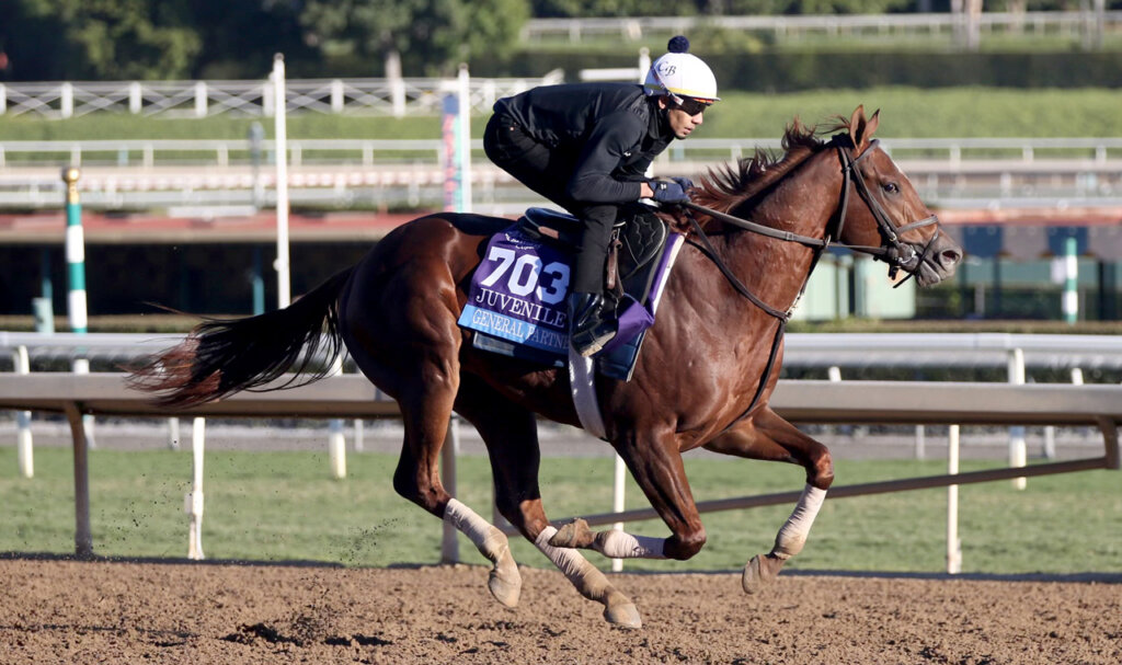 General Partner preps for the Breeders' Cup 2023