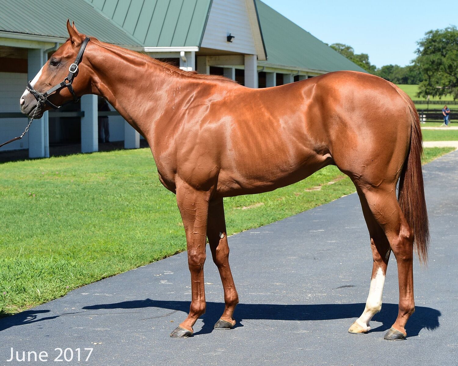 Tales from the Crib: Good Magic | News | Kentucky Derby