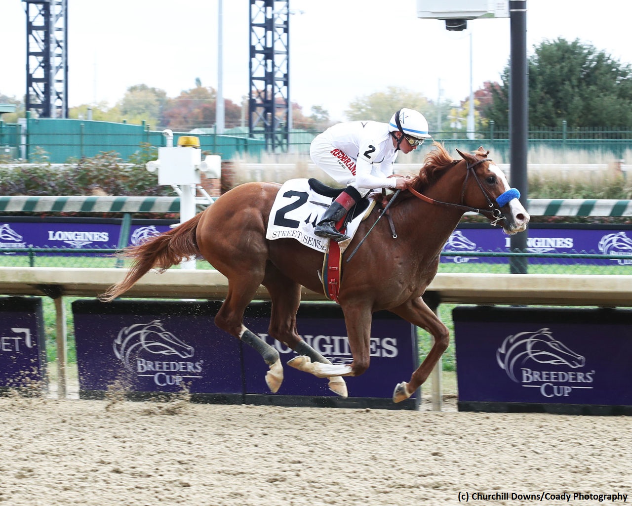 Los Alamitos Futurity Study Guide News Kentucky Derby
