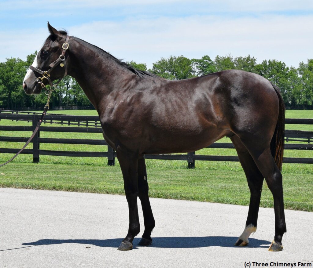 Tales from the Crib Long Range Toddy News Kentucky Derby