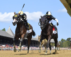 The Wine Steward winning the 2023 Funny Cide S. at Saratoga (Photo by Coglianese Photos)