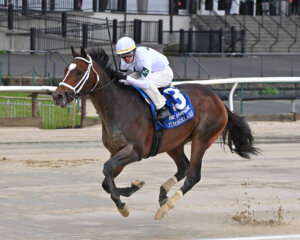 Timberlake, shown winning the Champagne (G1), seeks another Grade 1 in the Arkansas Derby (Photo by Coglianese Photos/Joe Labozzetta)