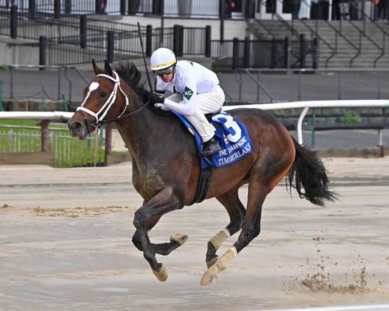 Expert Pick of the Week 2024 Rebel Stakes News Kentucky Derby