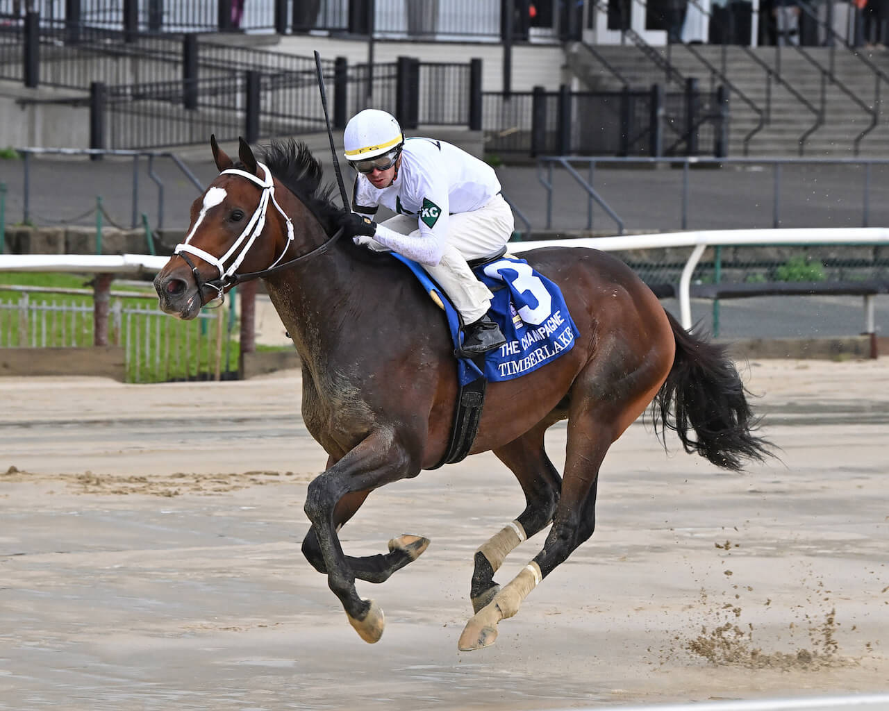 Timberlake, shown winning the Champagne (G1), seeks another Grade 1 in the Arkansas Derby (Photo by Coglianese Photos/Joe Labozzetta)