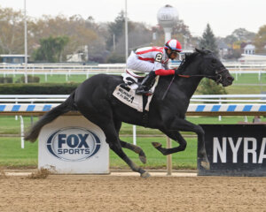 Domestic Product winning at Belmont Big A