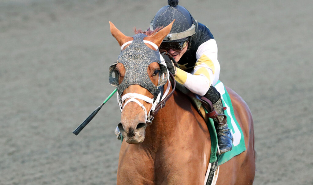 Expert Pick of the Week 2023 Clark Stakes at Churchill Downs News