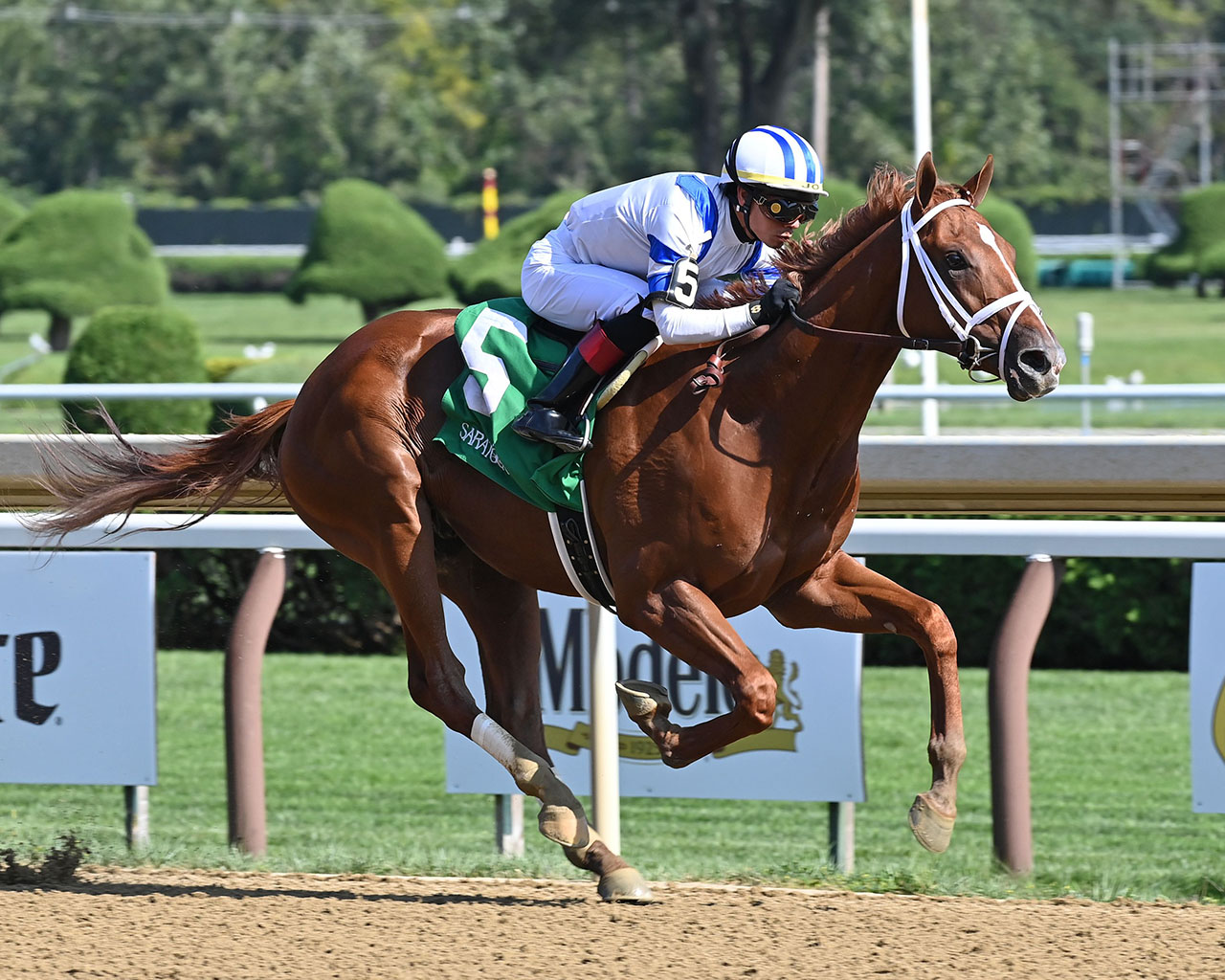 Locked breaking his maiden at Saratoga (Photo by Coglianese Photos)