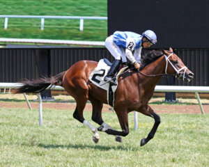 Nomos at Monmouth Park