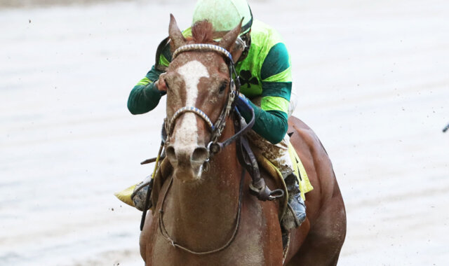 Real Men Violin wins at Churchill Downs 2023