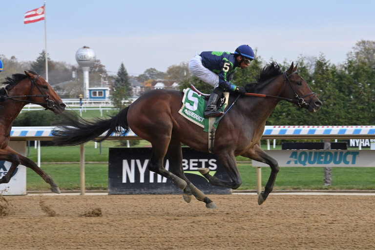 Sierra Leone Horses Kentucky Derby