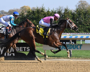 Where's Chris winning The Nashua at Aqueduct 