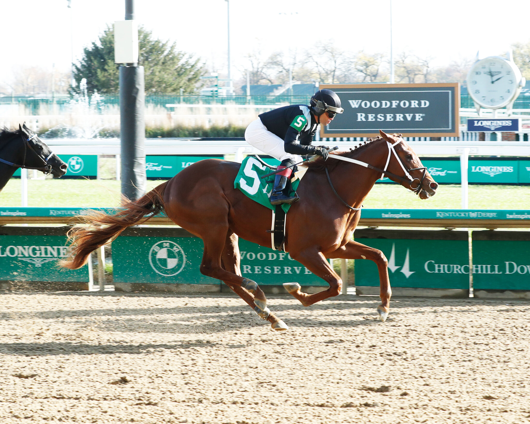 Study Guide 2024 Smarty Jones Stakes News Kentucky Derby