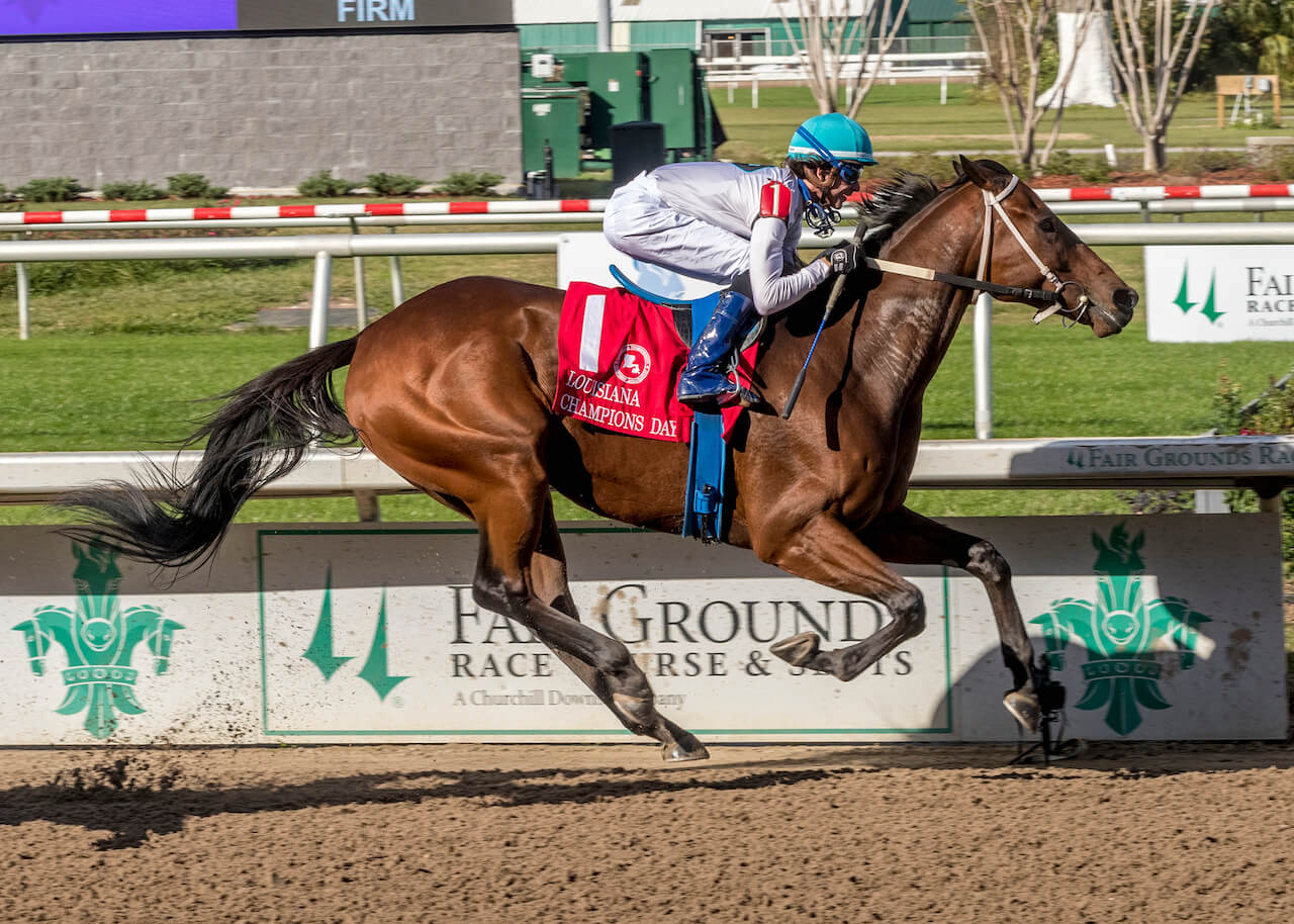 Derby Horses | Kentucky Derby