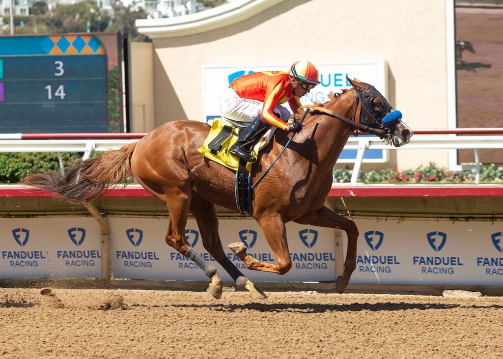 Study Guide 2024 Robert B. Lewis Stakes News Kentucky Derby