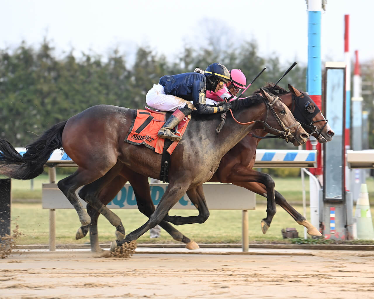 Dornoch in The Remsen (G2) at Aqueduct