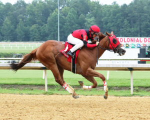 Sweet Soddy J wins at Colonial Downs 
