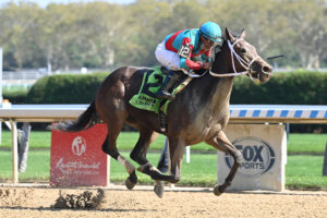 Sea Streak wins at Belmont Big A 