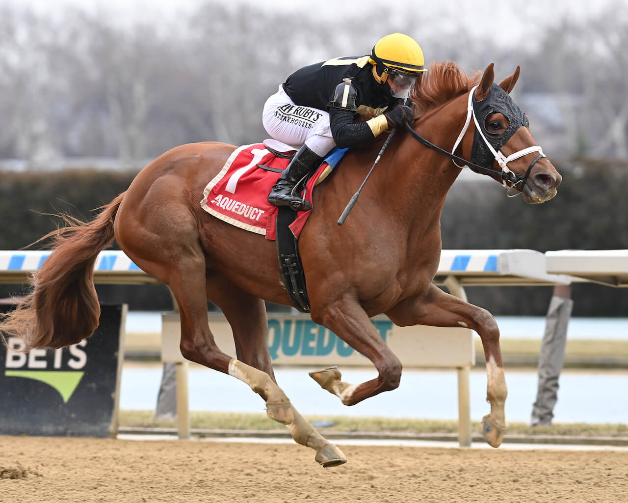 Drum Roll Please wins the Jerome S. at Aqueduct