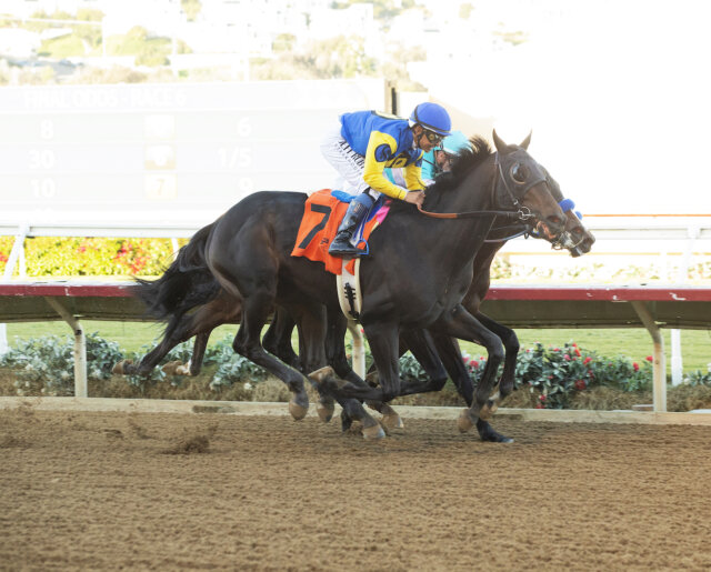 Study Guide 2024 Robert B. Lewis Stakes News Kentucky Derby