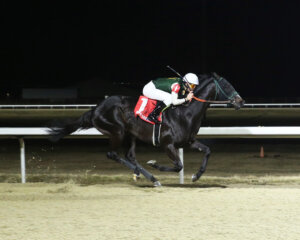 Bolt at Midnight wins Turfway Park