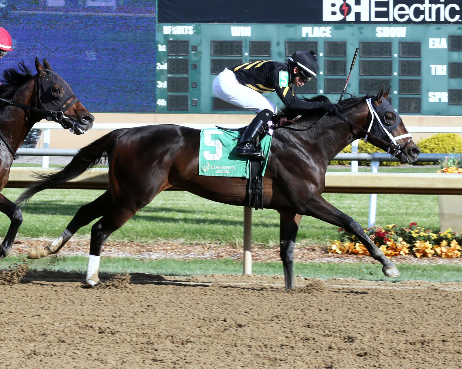 Fidget Racing Study Guide: 2024 John Battaglia Memorial Stakes | News | Kentucky Derby