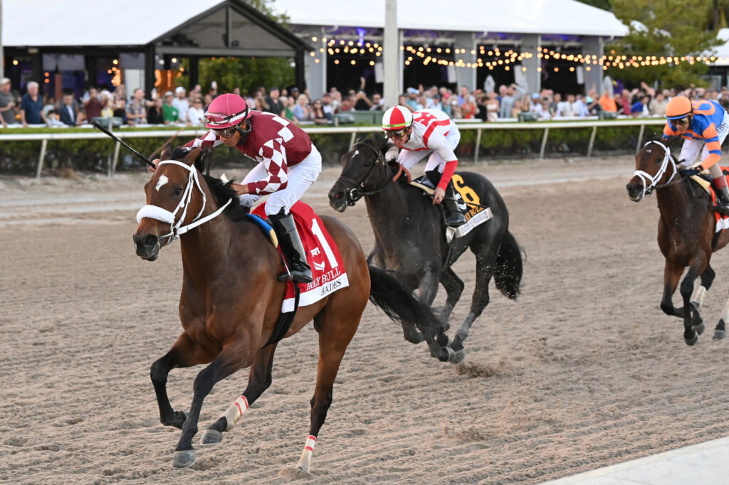 Expert Pick of the Week 2024 Florida Derby News Kentucky Derby