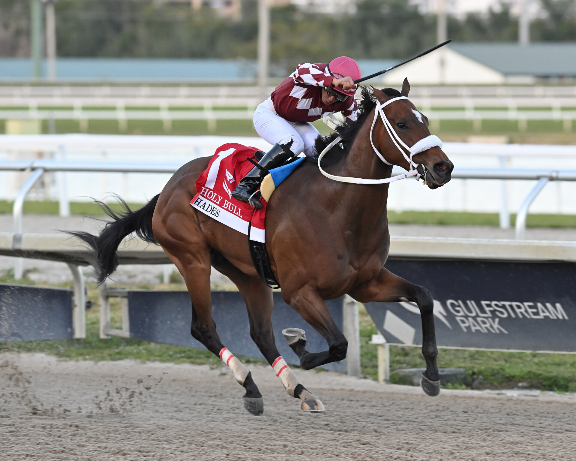 Hades upsets Holy Bull; Fierceness third News Kentucky Derby