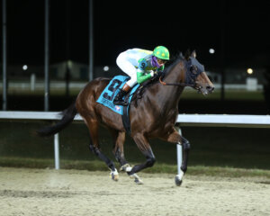 Karlwithanarl wins at Turfway Park