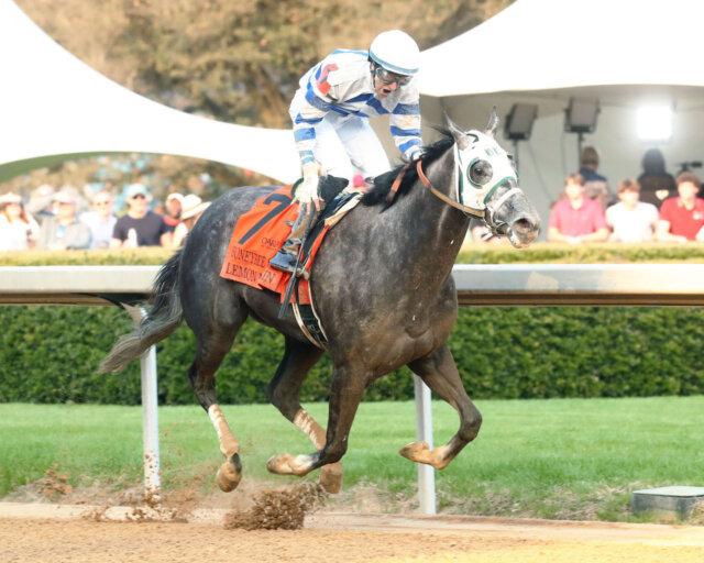 Lemon Muffin wins Honeybee Stakes wins at Oaklawn Park (Photo Coady Photography / Credit to Renee Torbit)