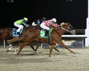 Mission Ready wins at Turfway Park