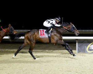 Mr. Faversham wins at Turfway Park