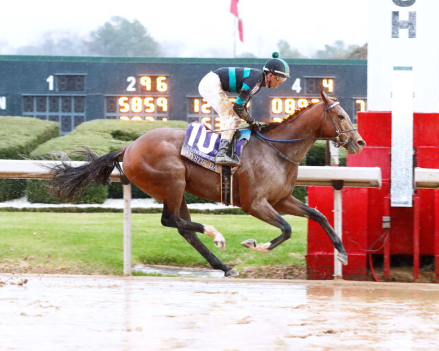 Mystik Dan skims rail, romps by eight lengths in Southwest News