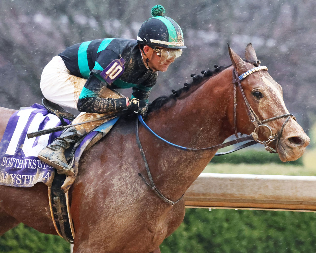 Kentucky Derby Horse Profile: Mystik Dan | News | Kentucky Derby
