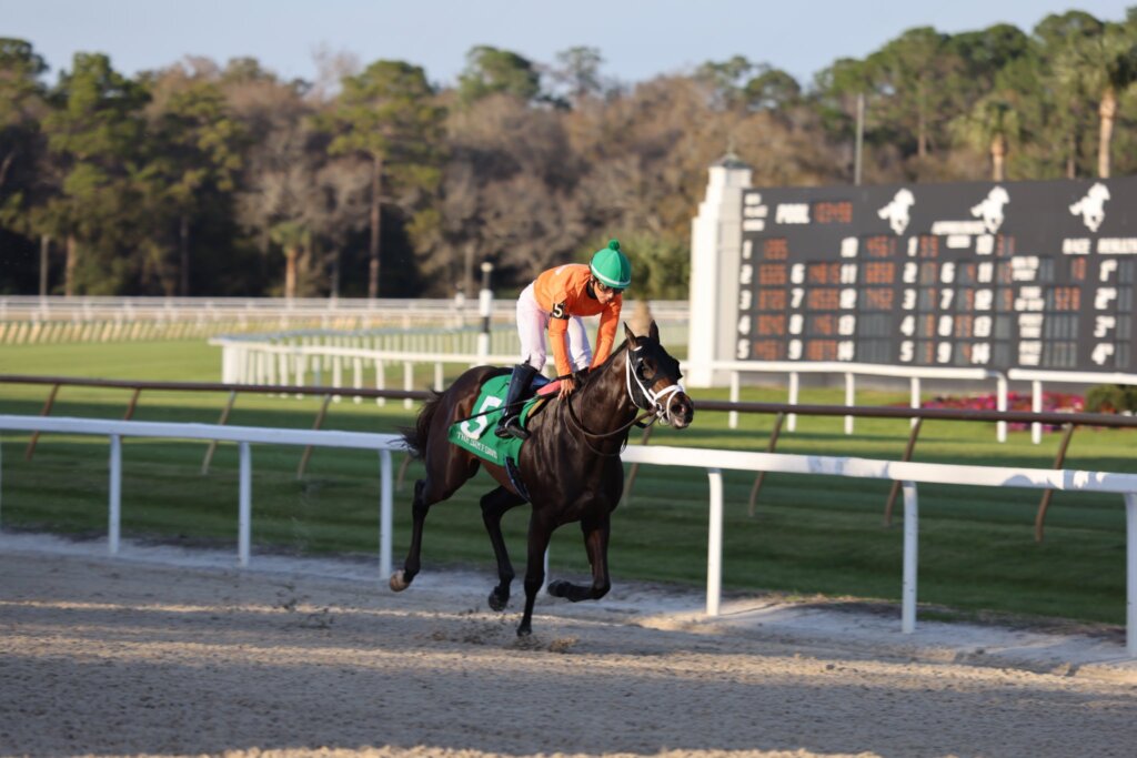 No More Time wins the Sam F. Davis at Tampa Bay Downs